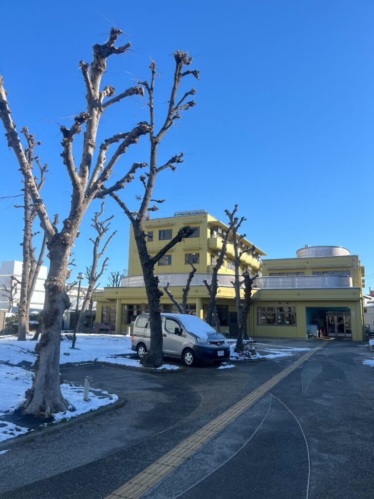 雪景色　2026.2.9