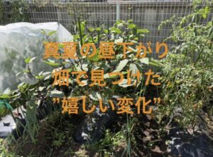 インスタ　2026.8.9